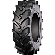 Шина Ozka Pulmox RAG100 (AGRO10) R-1W 750/65R26 166A8 TL
